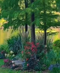 ����Ĳ��ƺ�ʪ�ع�԰��������