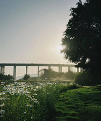 ���������ֹ�԰