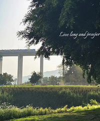 ���������ֹ�԰