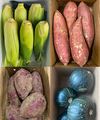 �Ƽ������ڼ�ƽ���ֺóԵ���ʳ���ҳɹ�����10�