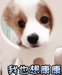 抗衰预算有限,是做超声炮还是买个美容仪啊?