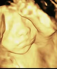 31������:һ��Ҫ����ʹ�����ٿ�Ǯ�����������������������