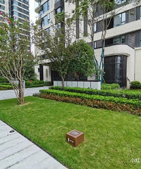 ��˵����������Ӻܿ죬�Լ��ķ����Լ���������ʯ��������������