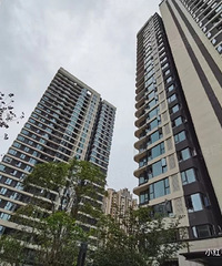 ��˵����������Ӻܿ죬�Լ��ķ����Լ���������ʯ��������������