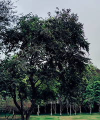 88182CMн25˶ʿʦ飬ϣԷȤ