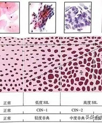 ����һ����ۡ��ĸ��Ƽ�飺���