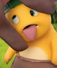 ������ֵ���������Ӷ�ͯT��29����ܽ��һ�����ڿ�30��36