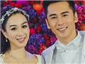 钟丽缇这婚非结不可吗