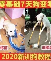 太离谱!就没人管管拼夕夕的海报吗?