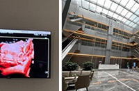 ��Ǯ�ĵĲʳ���һ����Ϳ������û����Ѳʳ��յ����