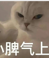 《女子推理社》刺激又好玩
