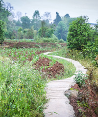 ܱܵ㡢ժʺϷſյ¶Ӫأܿȥ