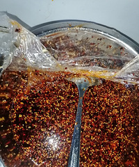 �ӷ���ת��ѧ�տ���ѧ����ûǮ���꣬��ĺ���ã