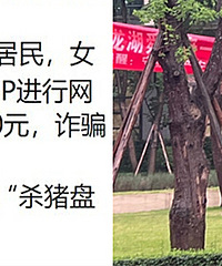 ���С����ƭ��༸ʮ��˴ɽ��һ������300��