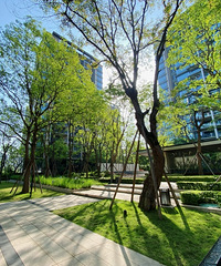 �������ּ��̻������鴫����ֱ�ǡ��������ֽ�����