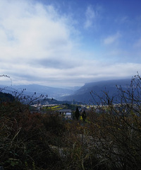 һҲҪþ壬µһȥɽͽ