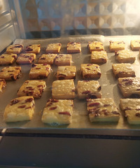 ��������ܣ���Խݮ���ɳ���ѧϰ��������У������е���