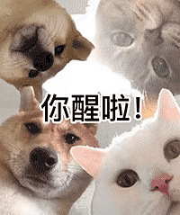 ������ֵ���򡿲�ϣ���ٶ�T��36,ѩ����������Ĥ75