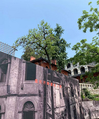 �����ϱ�·���С����ȷʵ����ʶ��