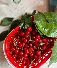 ײⲻײŸҳԵտÿĳӣ