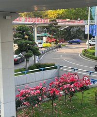 �����̻�����ĺ�Ư�����°��ĵ�·�ϵİ������¼�����