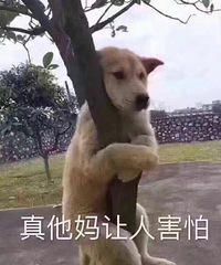 룿Ǳҵɵ£˭˵ɸھӵ