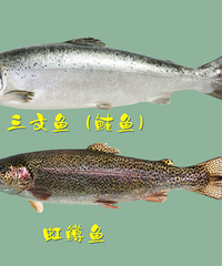 6㣬ÿһڶDHAӶ໻ԣͷԴ