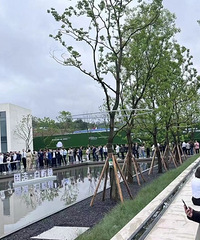 ���ư�������̫�ͣ��о����ײ�����ʫ��������