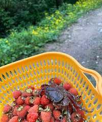 ·ժݡ˵ͽ·ߣջ񳬶