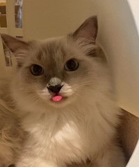 �������ӡ���һ�ޡ���С���ģ� ������������Լ�������Ҫ���չ�