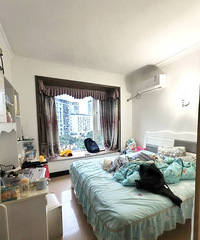 �山�˺�2������82.5�򣬼۸��̸