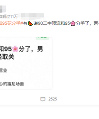 �ض��ֶ�����95������