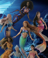 С������������6λ��㹫��