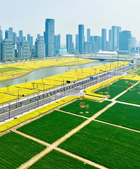 ǧĶ����������˴�!