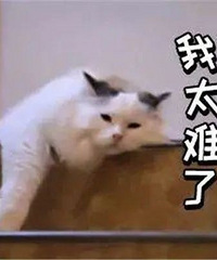 һ�������ᣬ����ʲôʱ���Ϊ��ְ����С�����ˣ�