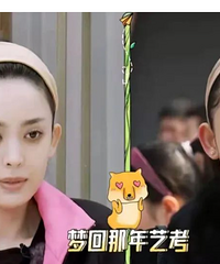 ����������Ҫ����������