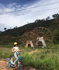 91��160CM��С������飬�������ڹ���