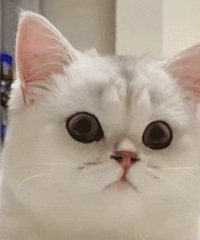 ������ֵ����â��tv�꿨79����������ϣ����˪69