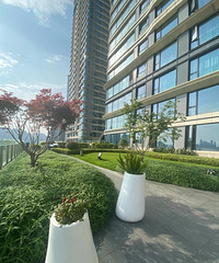 �����ƽ���컨��!