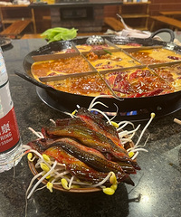 ��Ӳ��̫ϲ����ҵ����㣬�쳦�ˣ�