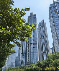 ������ؽ������������Ψ�����Դ�������ӭս�غ�������е�����