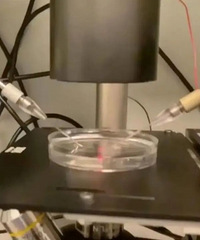 ����ͨ�������ӻ����ˡ������Ӥ���������Ժ����Թ�Ӥ������ѡ��