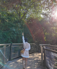 91�������������������ѵ����ѯ��С������飬ϣ����ϲ������