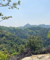 91��160CM��С������飬ϣ���Է�����170����