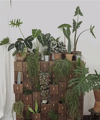 120Ԫİٱ񣬾Ȼ˼һǽ