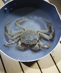 ܱߵ¶Ӫ޺õطֻʳз