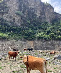 ����ֵİ취���ǳ�ȥ��