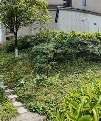 ��ɽ�ȱ��һ¥����200��ƽ����԰����