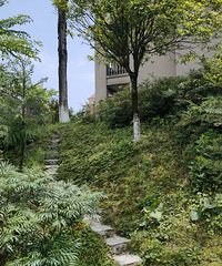 ��ɽ�ȱ��һ¥����200��ƽ����԰����