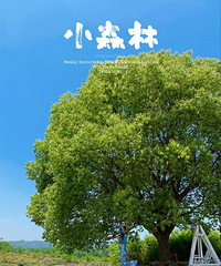 ����үү˵�����ã�����Ҫ���һ��ˣ��Ҿ�Ȩ�����Ű�